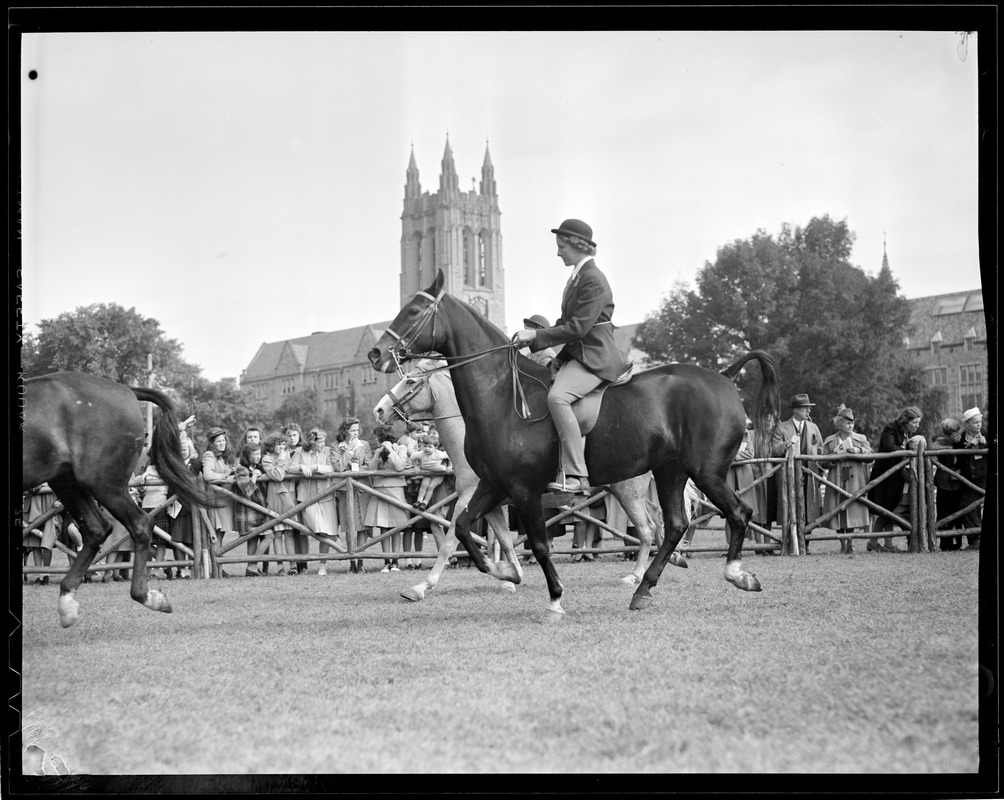 Horse show at Boston College - Digital Commonwealth