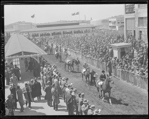 Crowd watches as horses are led to the track, Suffolk Downs