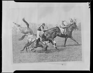 Horseracing: Jambo and Jockey McCormick spill at Virginia Cup race