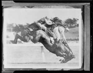 Steeplechase spill in Australia