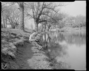 Fishing in pond