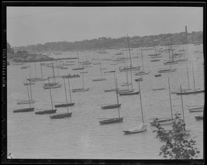 Sailboats