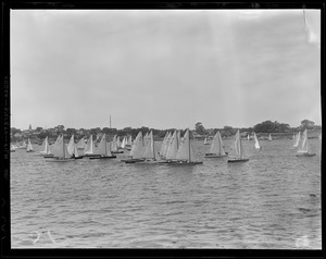 Sailboats