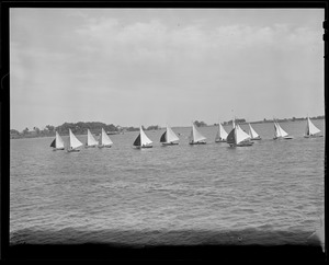 Sailboats: flotilla