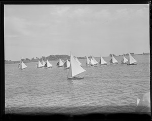 Sailboats: flotilla