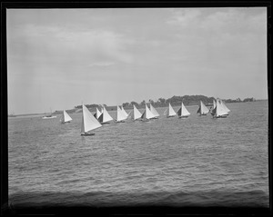 Sailboats: flotilla