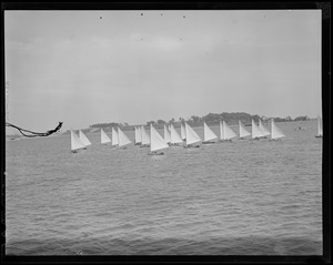 Sailboats: flotilla
