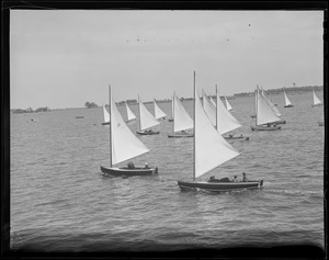 Sailboats: flotilla