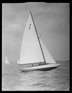 Sailboats