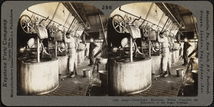 Centrifugal machines, which complete the separation of the sugar crystals.
