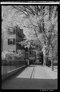 Street scene