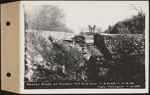 Beaver Brook at Pepper's mill pond dam, Ware, Mass., 8:00 AM, May 16, 1936