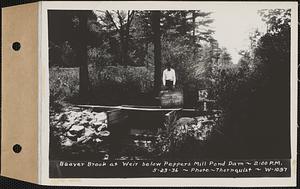 Beaver Brook at weir below Pepper's mill pond dam, Ware, Mass., 2:00 PM, May 23, 1936