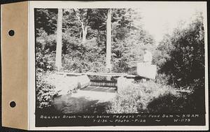 Beaver Brook at weir below Pepper's mill pond dam, Ware, Mass., 9:10 AM, Jul. 2, 1936