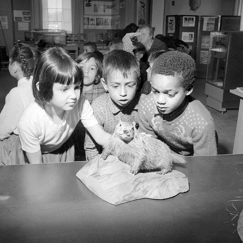 New Bedford school field trip, Children's Museum, Dartmouth