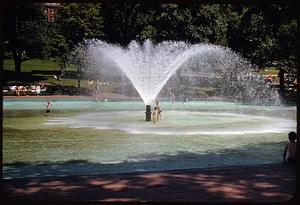 Frog Pond fountain