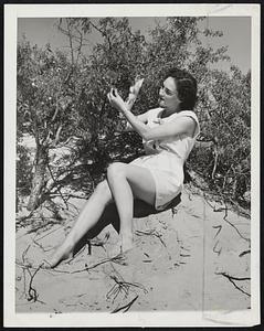 Plum Leg Art-19-year-old Lena Orme of Hutchinson, Kos., picks wild plums in the sand hill country of Reno county. It's so hot in Kansas she wears a playsuit to do the picking.