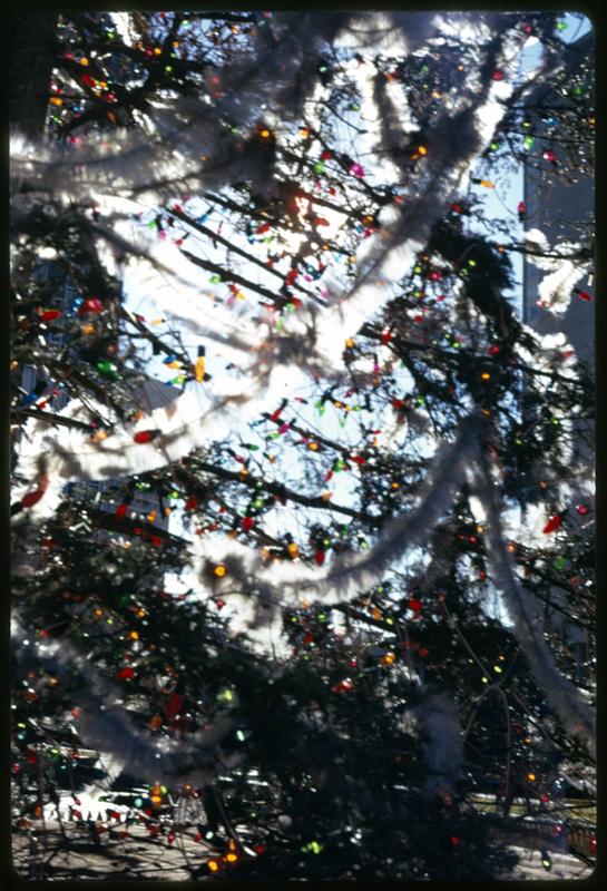 Close up of a Christmas tree, Prudential Center Plaza