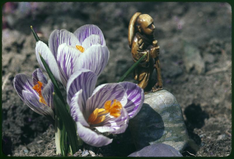 Netsuke + flowers