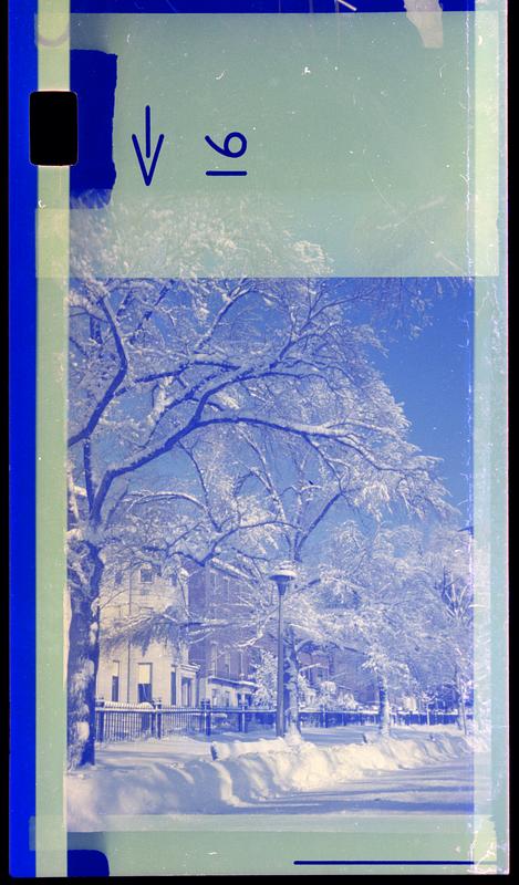 Snow in Boston Common