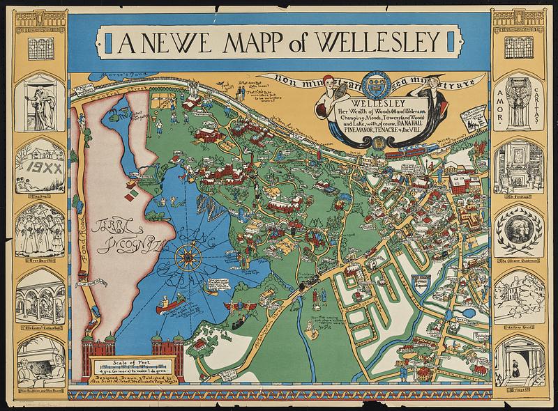 A newe mapp of Wellesley