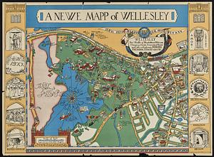 A newe mapp of Wellesley