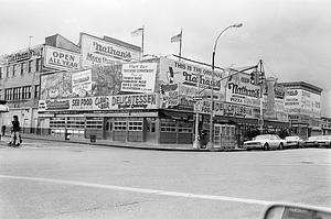 Nathan's Coney Island 2