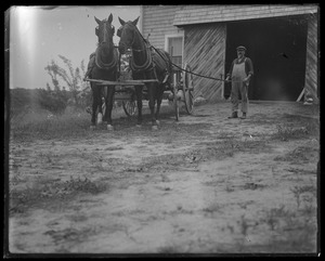 Pair of horses, man, barn