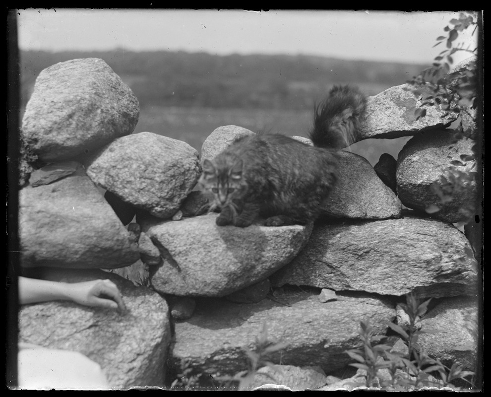 Arm resting on wall. Stone wall