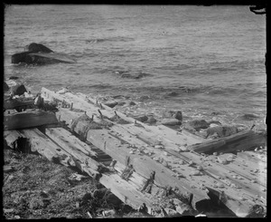 Remains of pier or bridge at waterside