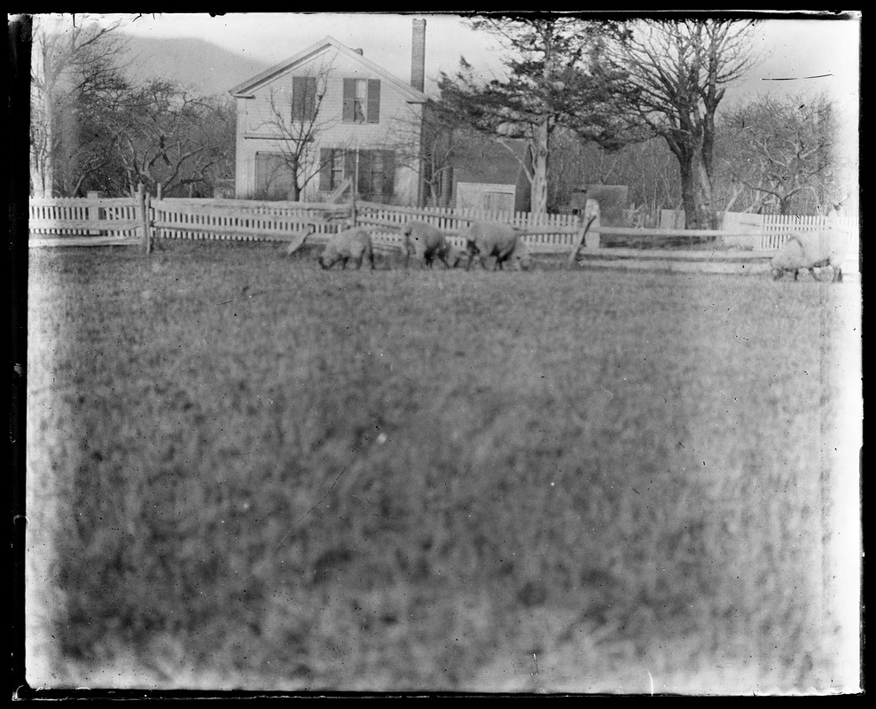 Greek revival house w/ outbuildings