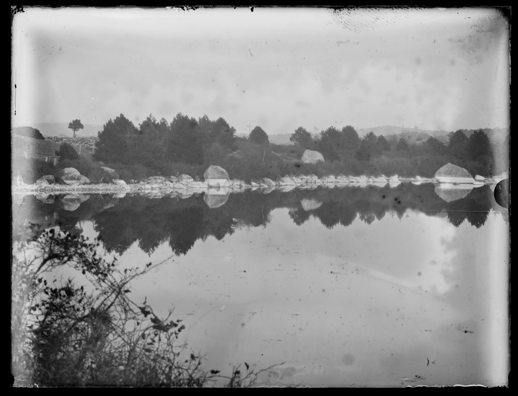 Trees reflected in water