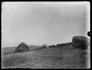 Field with boulders