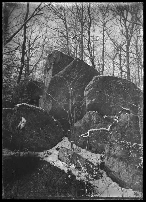 Boulders & trees