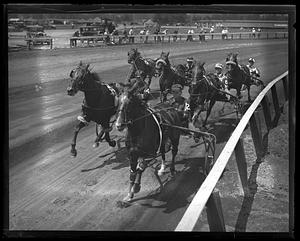 Harness racing