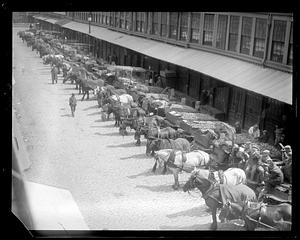 Horses stand hitched to carts filled with produce