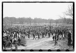 Egg hunt, Franklin Park