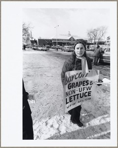 Picket, "boycott grapes & non UFW lettuce, UFW AFL-CIO"