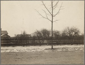 Lake Street sidewalk