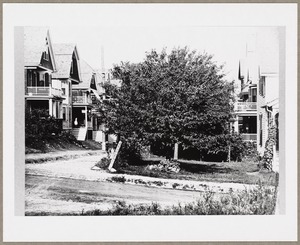 Residential area, with a tree in the center midground