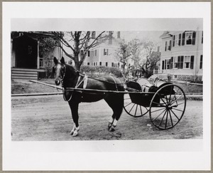 Horse and buggy