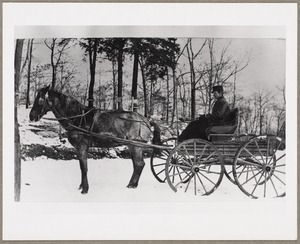 Horse-drawn wagon in winter