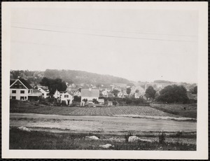View of houses and cultivated land