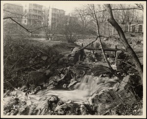 Mill Brook