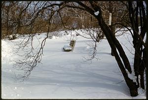 Winter scene of trees and bench, Arnold Arboretum