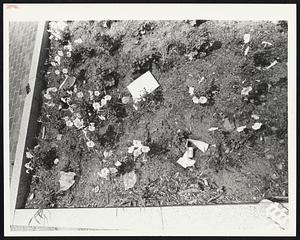 Flower & papers, City Hall Plaza