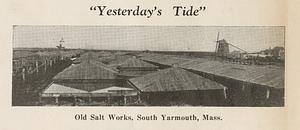 "Yesterday's Tide" old salt work, South Yarmouth, Mass.