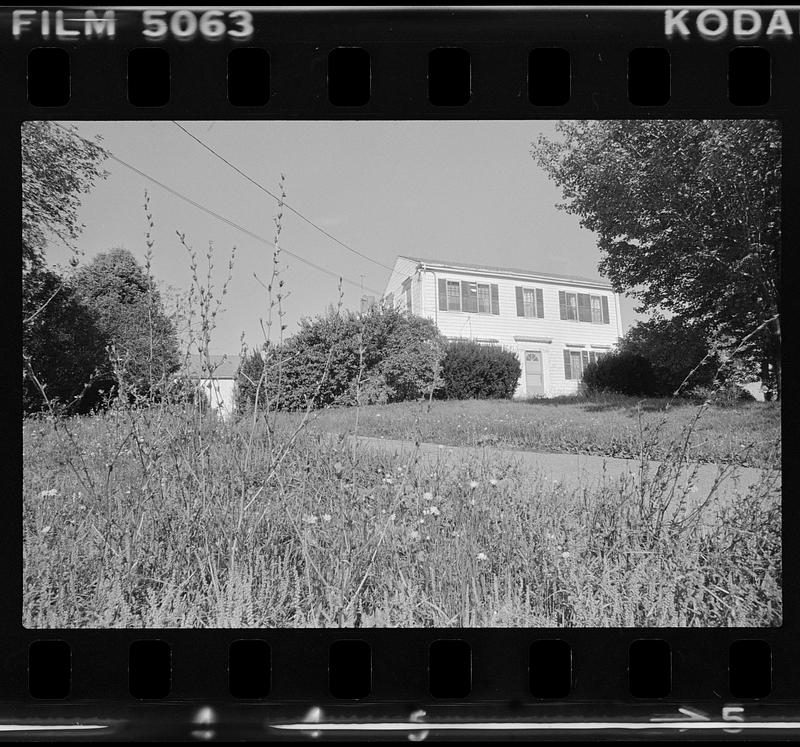 Foliage scenes