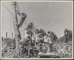 Marines, Bougainville
