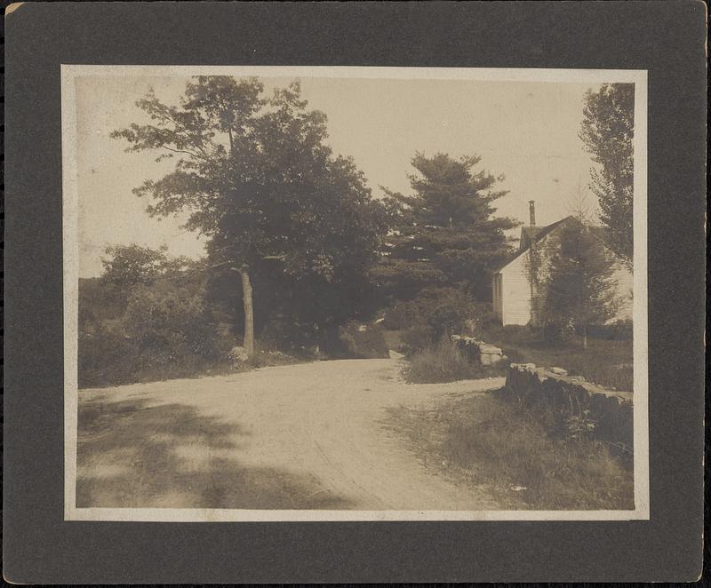 View from the corner of Upland Road and Everett Street